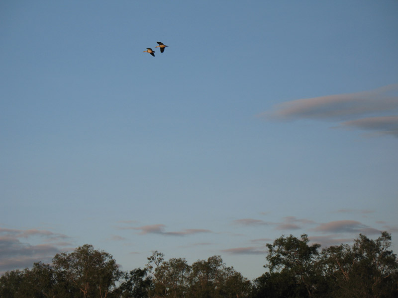 Lakefield National Park - Walkabout